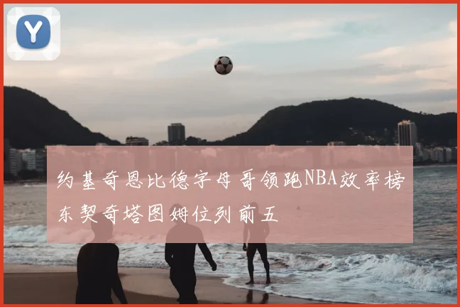 约基奇恩比德字母哥领跑NBA效率榜东契奇塔图姆位列前五