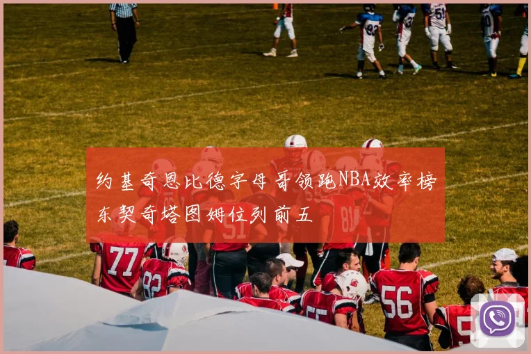 约基奇恩比德字母哥领跑NBA效率榜东契奇塔图姆位列前五